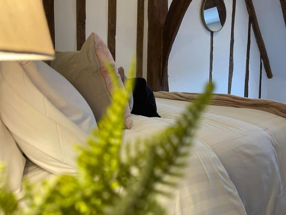 Rural Country Suites - Judge'S Lodge East Grinstead Eksteriør billede